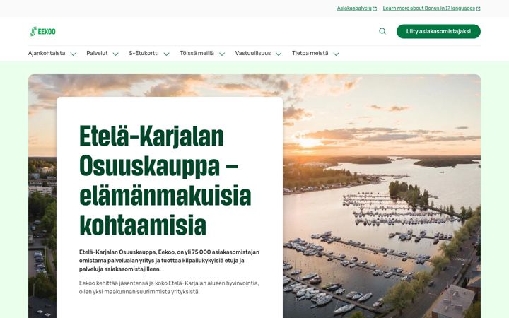 Captura de pantalla de eekoo.fi