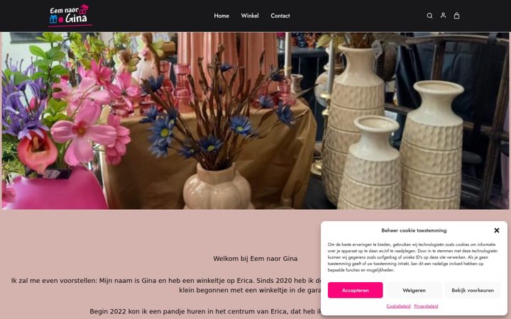 Screenshot di eemnaorgina.nl
