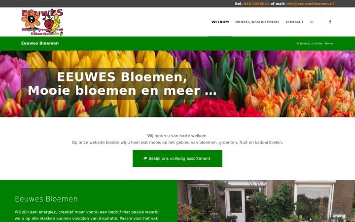 Screenshot ta' eeuwesbloemen.nl