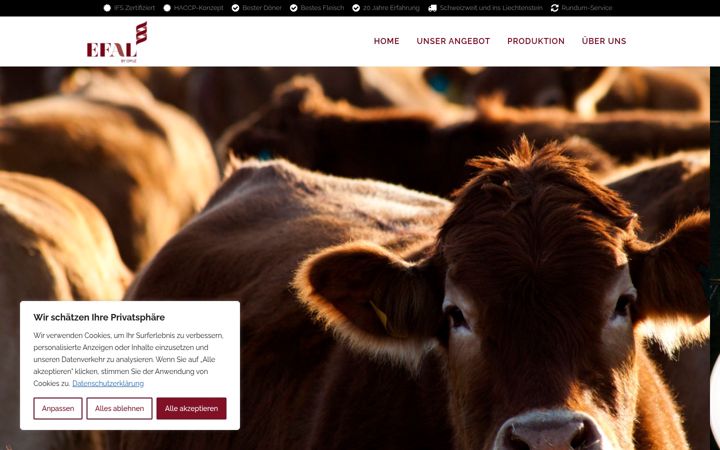 Screenshot of efaldoener.ch