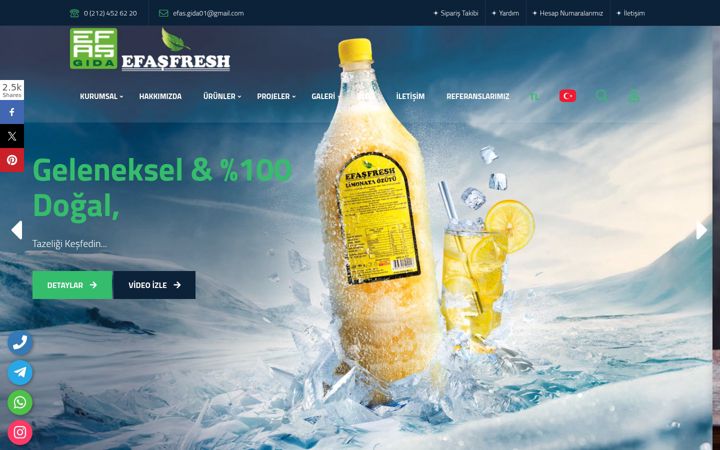 Screenshot of efasgida.com