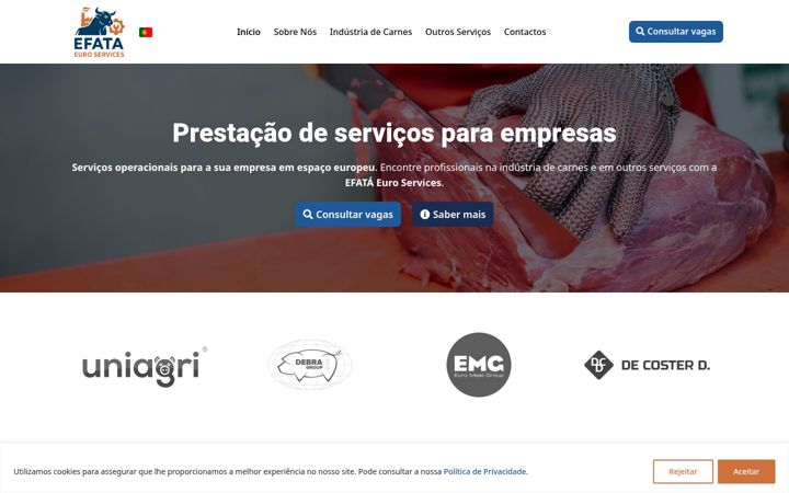 Screenshot of efataeuroservices.com