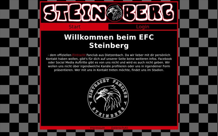 Screenshot of efc-steinberg.de
