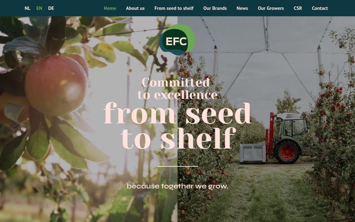 Screenshot of efcfruit.com