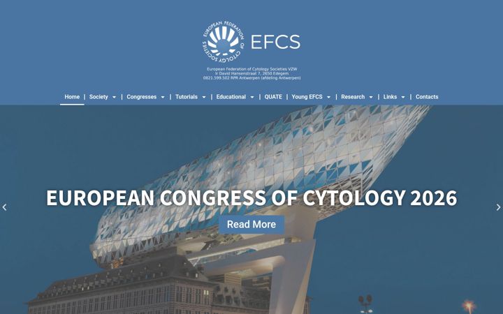 Screenshot of efcs.eu