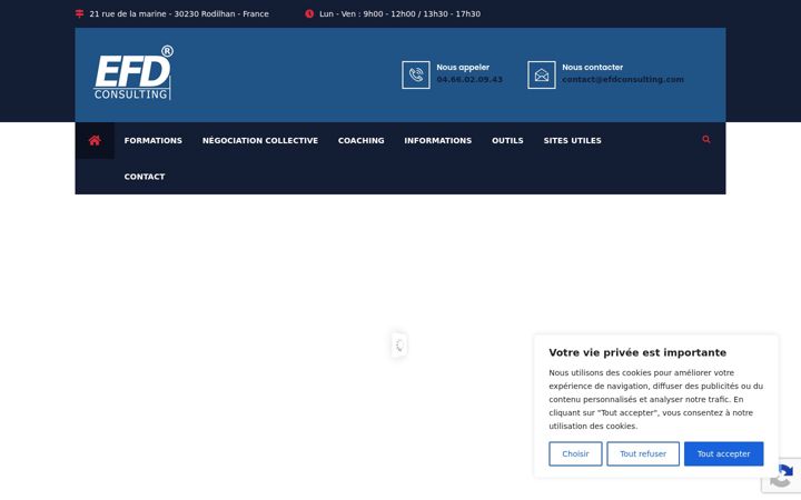 Screenshot di efd-consulting.fr
