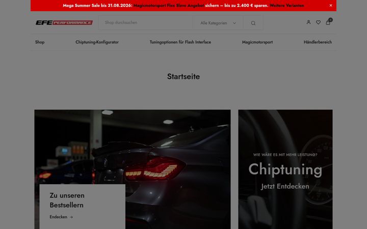 Screenshot of efe-performance.de