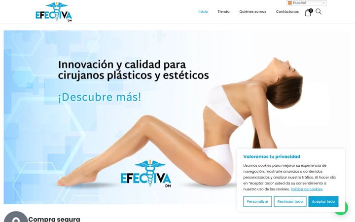 Screenshot of efectivadm.com