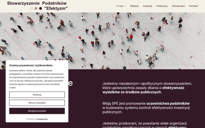 Screenshot of efektyzm.pl