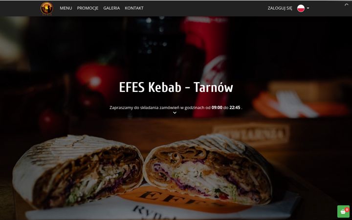 Screenshot of efestarnow.pl