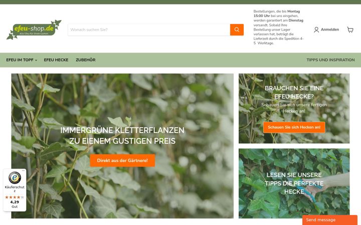 Screenshot of efeu-shop.de