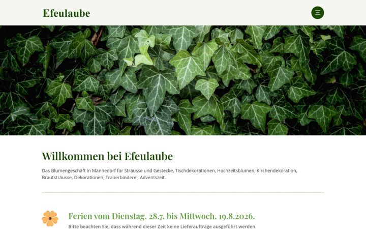 Screenshot of efeulaube.ch