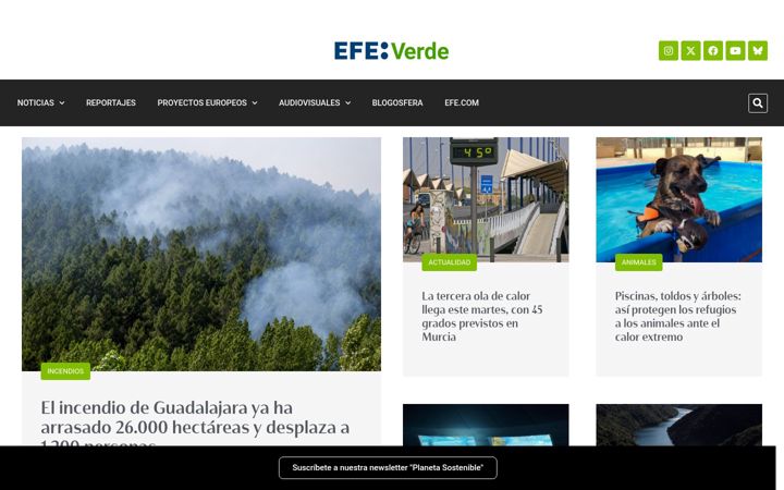 Screenshot of efeverde.com