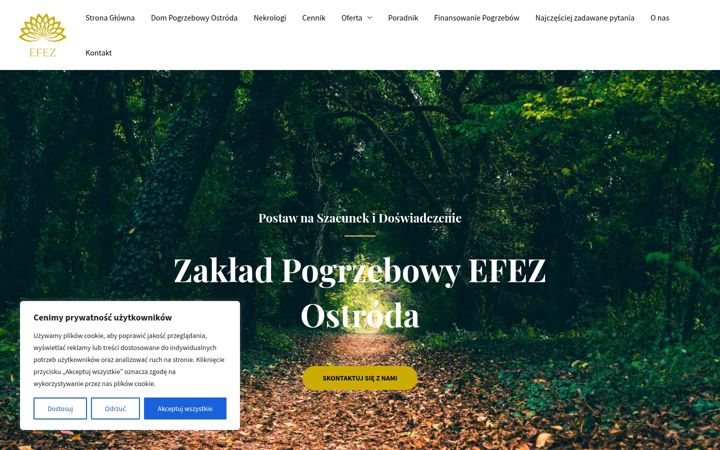 Screenshot van efez.ostroda.pl