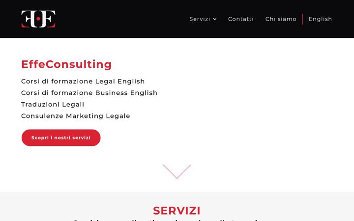 effeconsulting.com