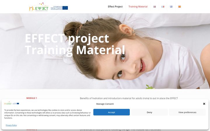 Screenshot of effect-erasmus-eplatform.eu