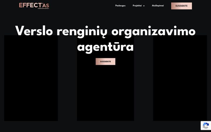 Screenshot of effectas.lt