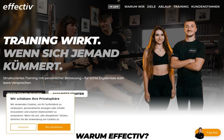 Snímek obrazovky effectiv.de