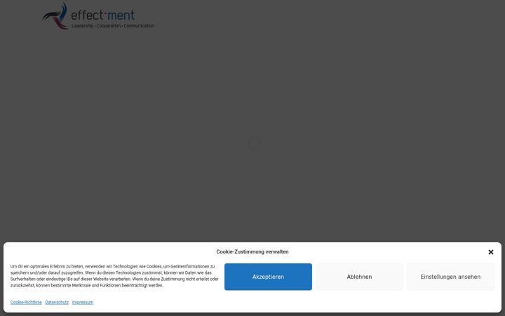 Snímek obrazovky effectment.de