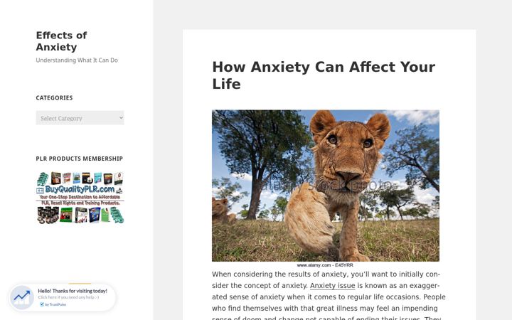 Screenshot of effectsofanxiety.net