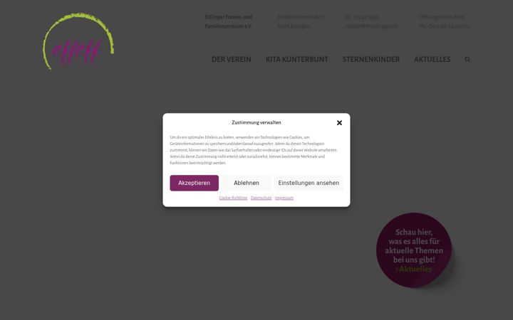 Screenshot of effeff-ettlingen.de