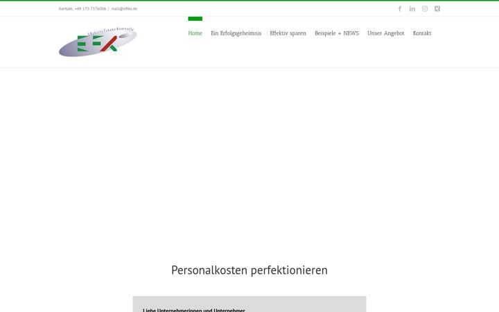 Screenshot of effektive-finanz-kontrolle.de