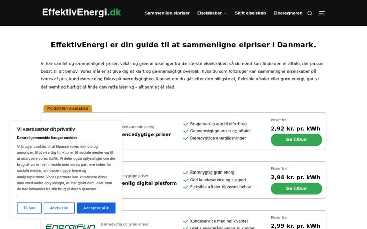 Ekraanipilt saidist effektivenergi.dk