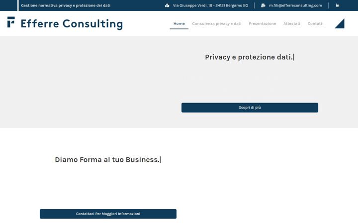 efferreconsulting.com