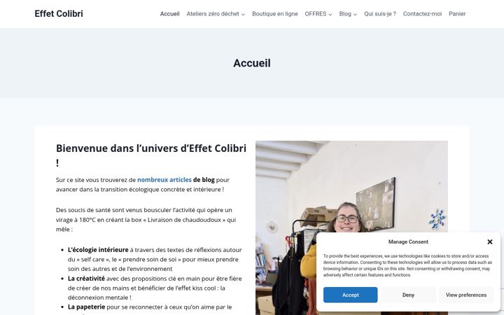 Screenshot of effetcolibri.fr