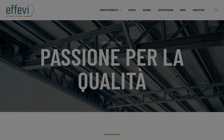 Screenshot of effevi.net