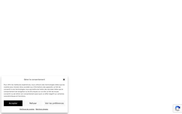 Screenshot of effi-safe.com