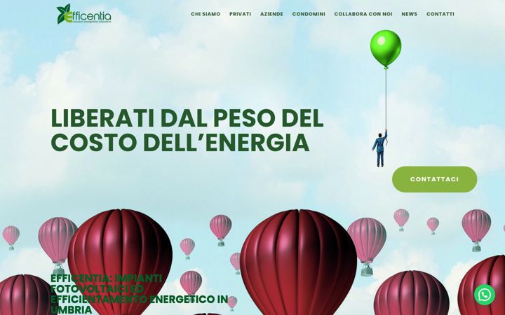 Zrzut ekranu efficentia.com