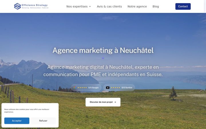 Screenshot of efficience-strategy.ch