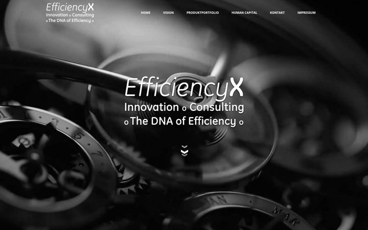 Screenshot of efficiencyx.de
