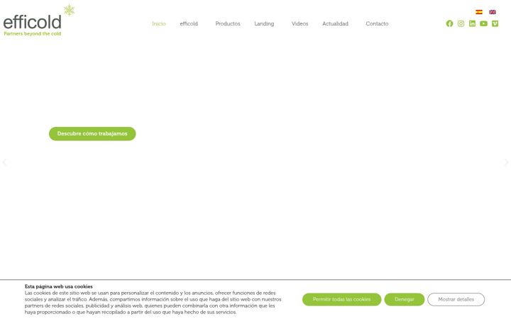 Screenshot of efficold.com