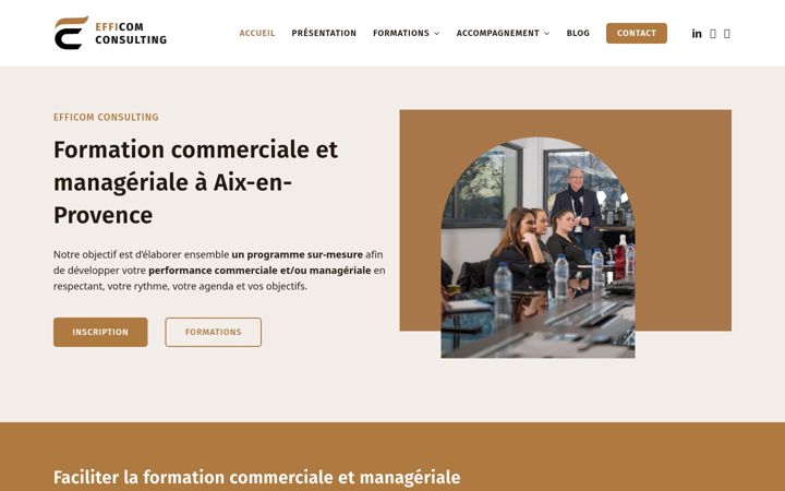 Screenshot of efficom-consulting.com