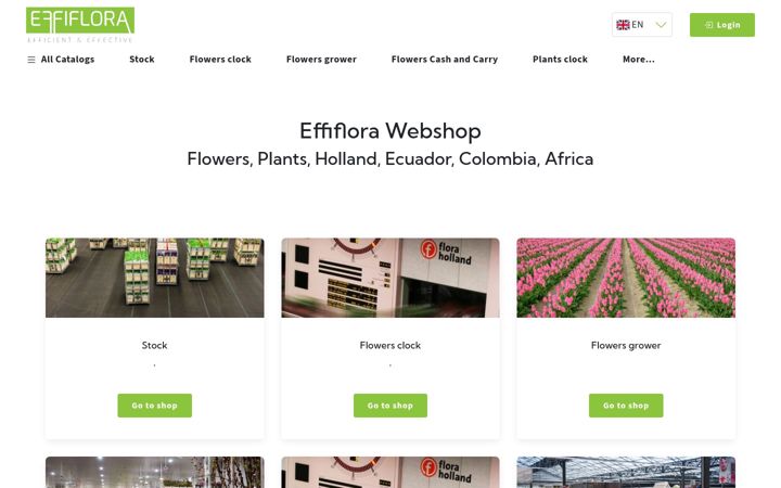 Screenshot of effiflora.com