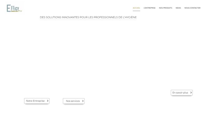 Screenshot of effigy-pro.com