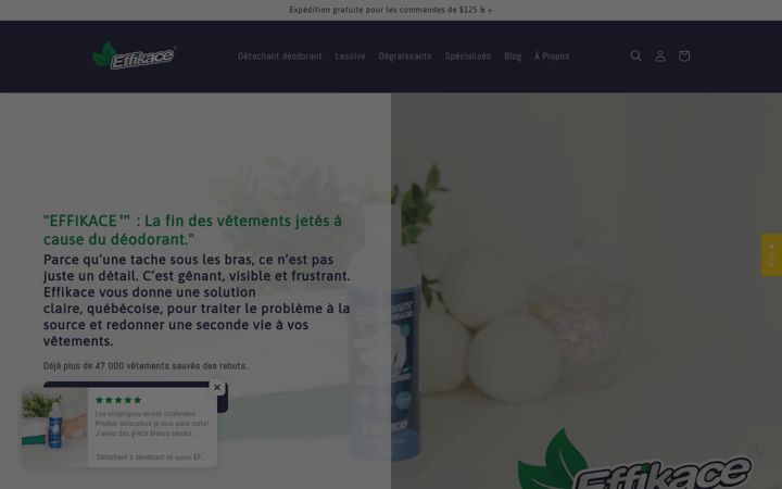 Screenshot of effikace.net