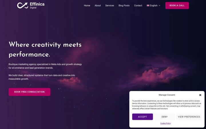 Screenshot of effinica.com