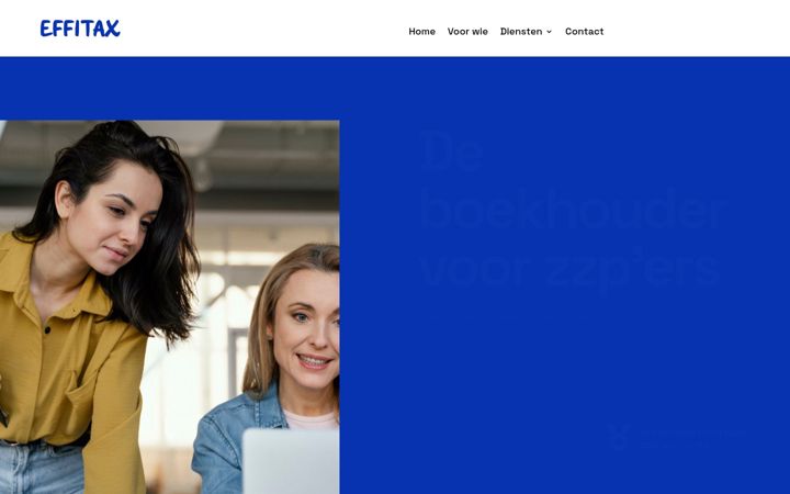 Screenshot ta' effitax.nl
