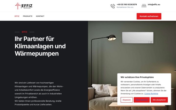 Screenshot of effiz.eu