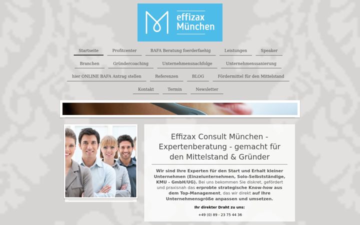 Screenshot of effizax.de
