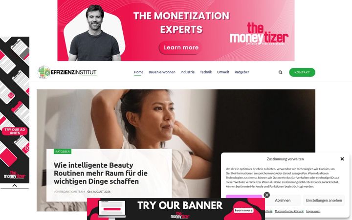 Screenshot ta' effizienzinstitut.de