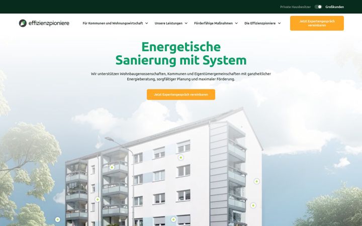 effizienzpioniere.de