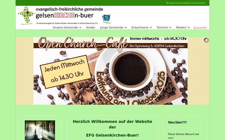Screenshot ta' efg-amspinnweg.de