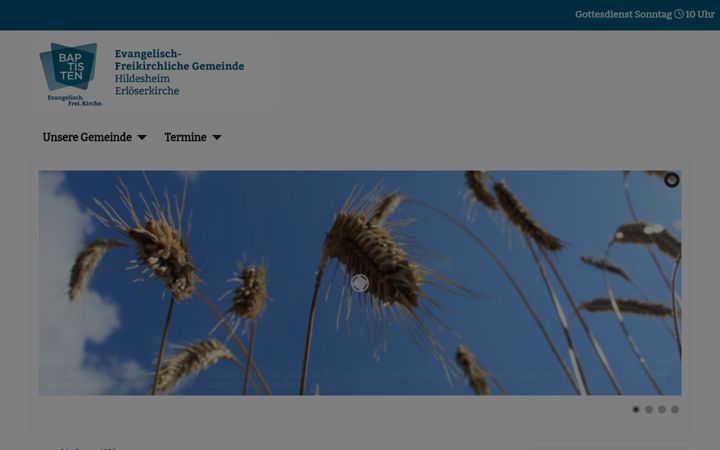 Skærmbillede af efg-hildesheim.de