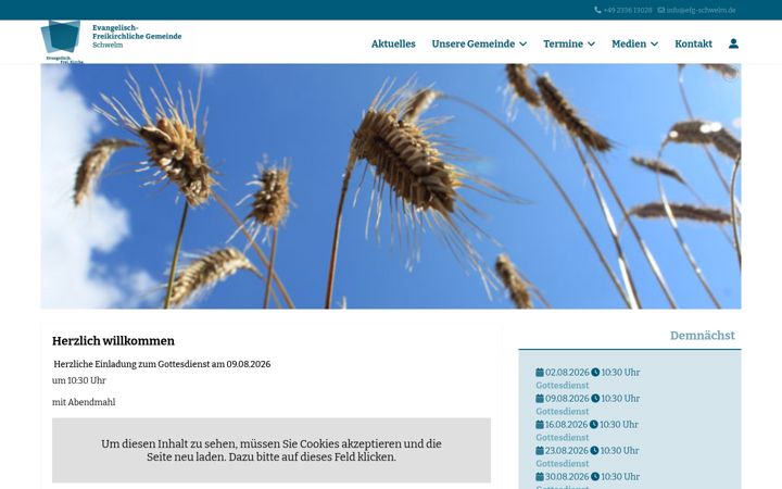 Screenshot of efg-schwelm.de