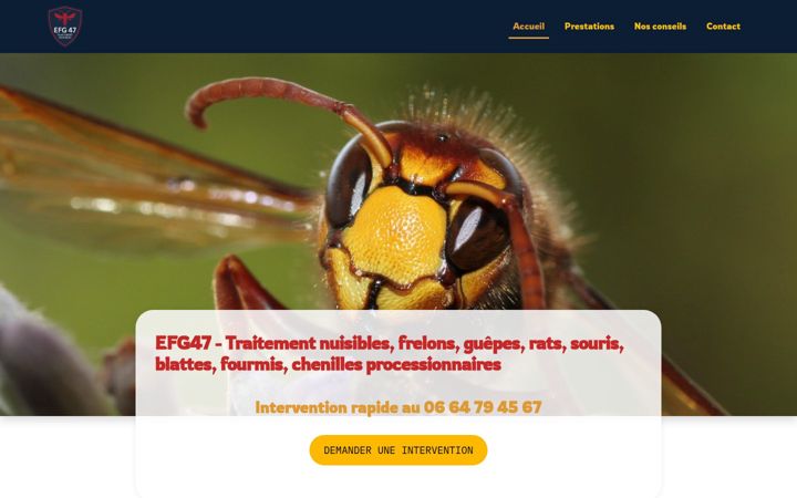Captura de pantalla de efg47.fr