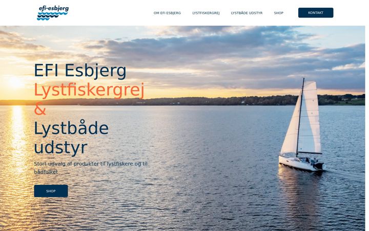 Screenshot of efi-esbjerg.dk